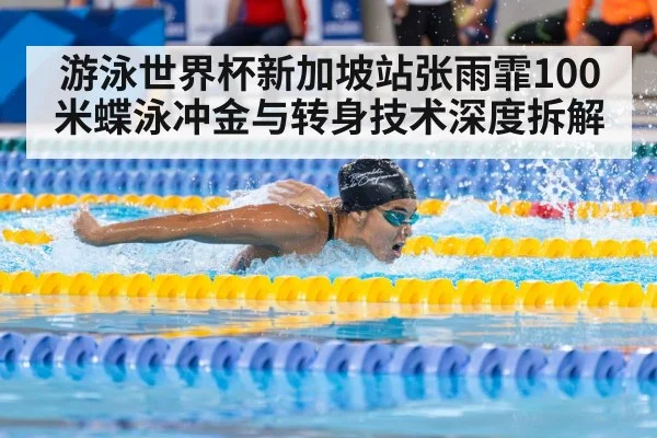 butterfly stroke swimmer pool race